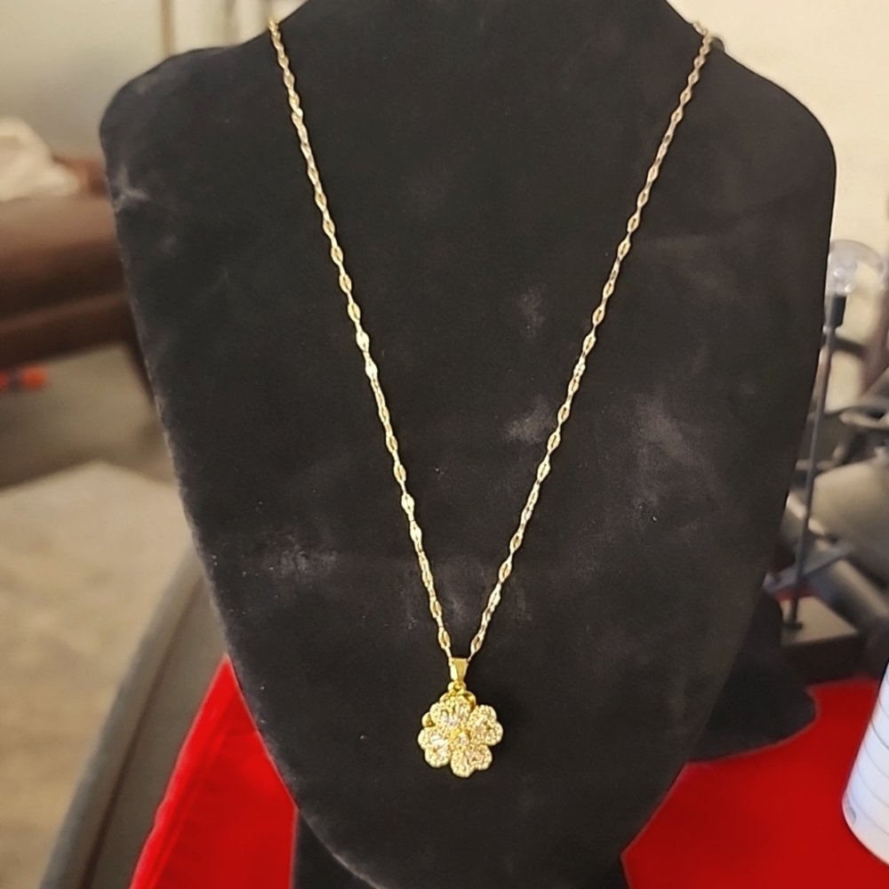 19 inch Goldtone Chain /Pendant